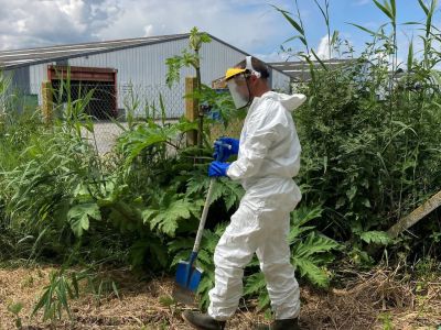 Environnement et biodiversité