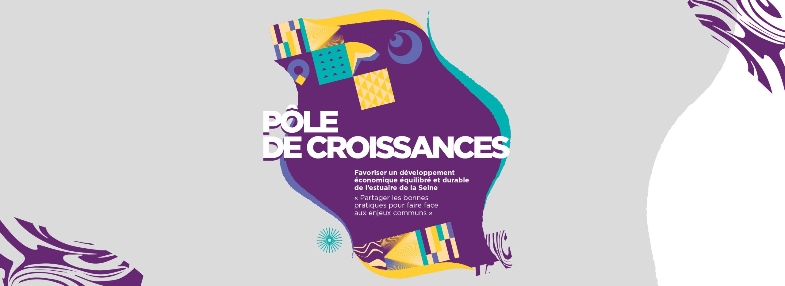 Pôle de croissance