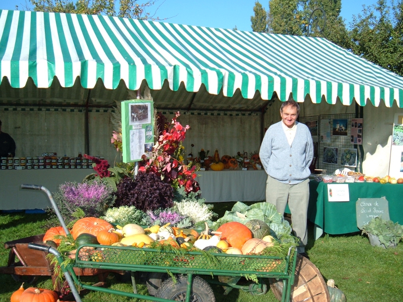Orties et légumes oubliés